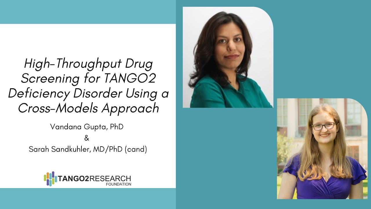 High-Throughput Drug Screening for TANGO2 Deficiency Disorder Using a Cross-Models Approach