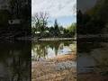 Nature #travel #spring #nature #river #trail #birdsounds #rivers #tree #camping #ontario #canada