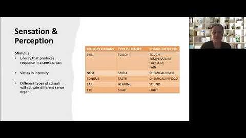 PSYC2 Chapter 3 Sensation & Perception_Part 1