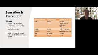 PSYC2 Chapter 3 Sensation & Perception_Part 1