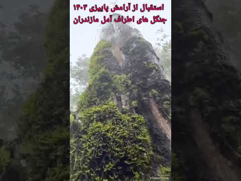 جنگل بارانی مازندران جنوب آمل