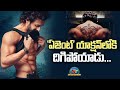 Akhil akkineni shows off the rippling muscles he built for agent  ntv ent