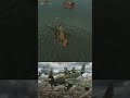 Два рандома. Один самолёт. Ноль плана 🛩️ #foxhole #авиация #геймплей
