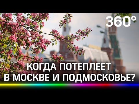 Когда потеплеет в Москве и Подмосковье? Роман Вильфанд поделился прогнозом погоды