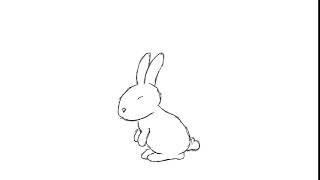 Rabbit Hop animation test