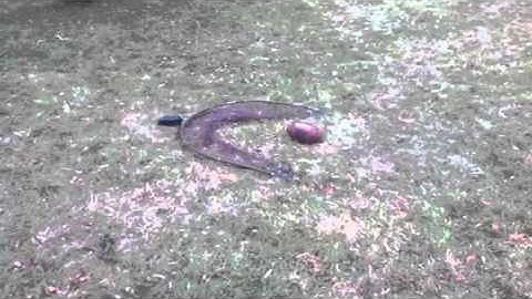 Bownet remote trigger