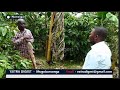 Hon Kasibante Moses Ebika By Obwavu Abantu Bakozesa Bubi Emitwe Gyabwe Obutafuna Ssente Hon Kasibante Moses Ebika By Obwavu Abantu Bakozesa Bubi Emitwe Gyabwe Obutafuna Ssente