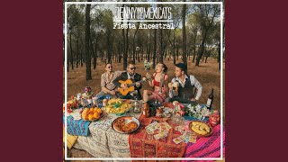 Video thumbnail of "Jenny and the Mexicats - Bailando Con las Farolas"