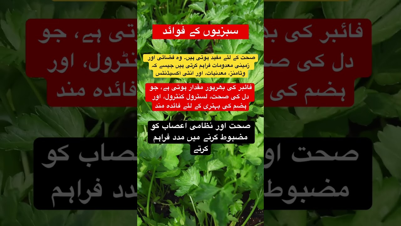 vegetables benefits in urdu 