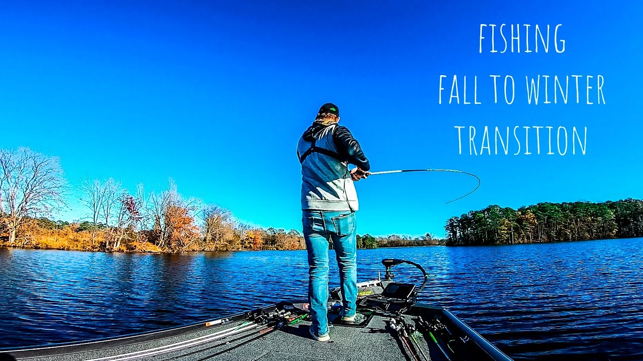 Bass Fishing With SPINNERBAITS For TRANSITIONING Fall Bass!! Late