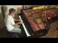 Chopin Etude Op.25 No.12 'Ocean' - Paul Barton, Feurich 218 Grand Piano