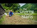 We Started a NEW Vegetable Garden (+ Day Trips with the Fam) in the Japanese Countryside