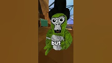 How The Critters Map Got There!!! 🤩 #gorillatag