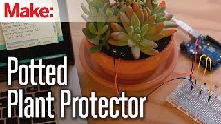 Weekend Projects - Potted Plant Protector