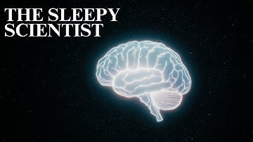 The Human Brain: Explained Slowly | The Sleepy Scientist