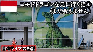 【自宅ライブ274】コモドドラゴンに会いに行く話その1　KLとバリ島とフローレス島