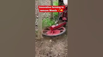 Innovative farming to remove Weeds #shorts #farmer #farming #agriculture #crop