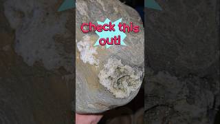 From a beach hunt in Michigan 😯 #rockhounding