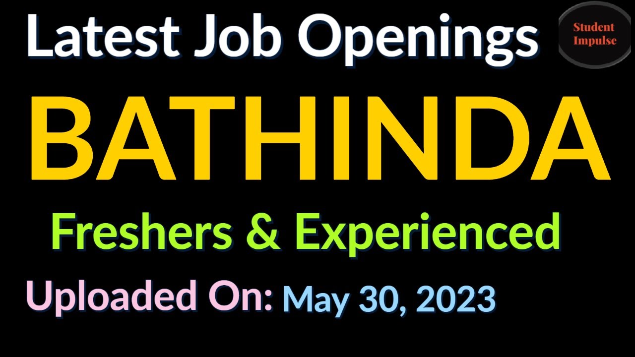 Bathinda Jobs Bathinda Job Vacancy Jobs in Bathinda for Freshers