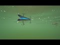 Игра TsuYoki Miser 95F. Подводные съемки. Underwater