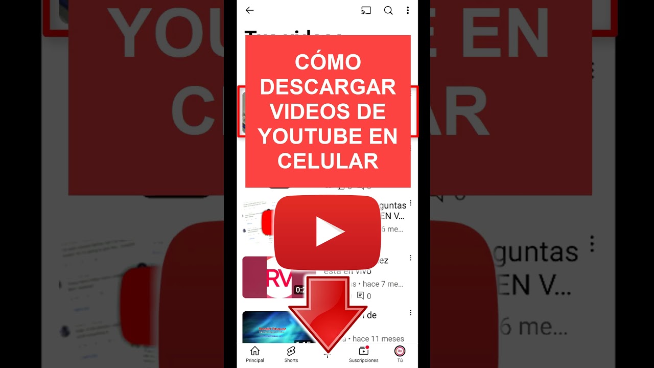 Como Descargar Videos de Youtube en Celular GRATIS