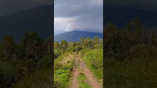 Cerro Culiacán, Guanajuato con sombrero. 💚 #guanajuatomexico #lluvia #guanajuato #campo #nature