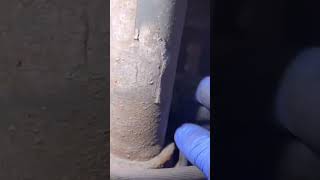 PEUGEOT ABS WARNING LIGHTS - FAULTY CODE C1330 - CHEWED BY FOXES