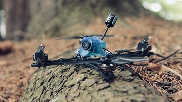 SavageBee 2S - Wynnstyle!!!