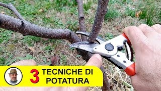 TECNICHE DI POTATURA