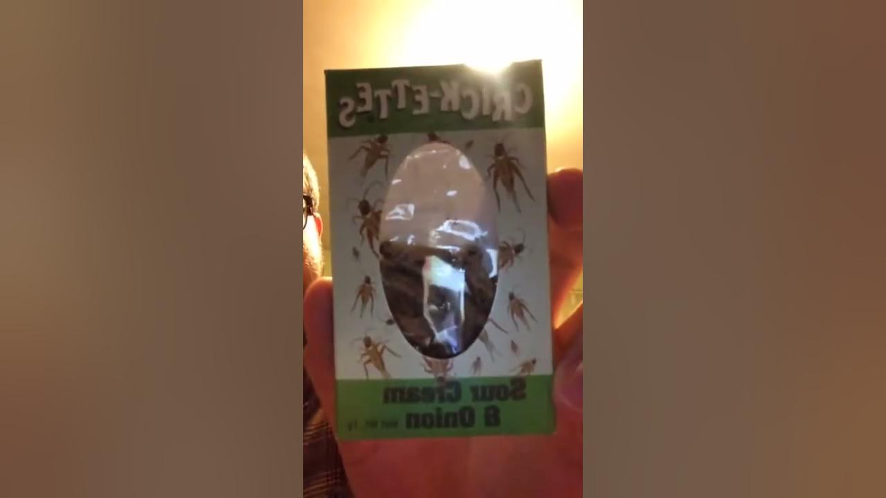 Sour Cream and Onion Crickets YouTube