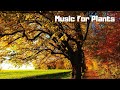 Soothing Music for Plant Growth, Happiness and Their Overall Health