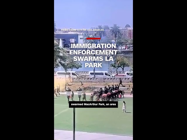 Immigration enforcement swarms LA park