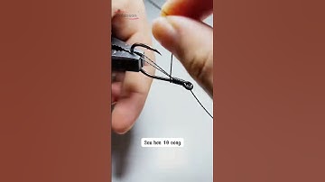 Hướng dẫn buộc lưỡi câu chuẩn – Tăng hiệu quả câu cá tức thì!