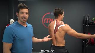 Stop Shrugging Your Already Over Active Traps! -MoveU