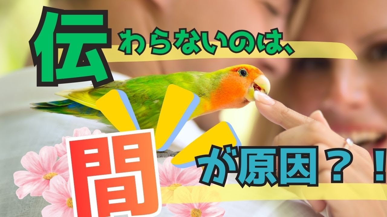 【噛み癖対策】“区切る”だけで関係が深まる、コミュニケーション術 - YouTube