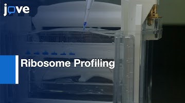 Ribosome Profiling for Genome Quantification during Budding | Protocol Preview