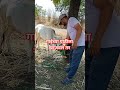 शेतकरी#शेती#shetkari #farming#shorts#farmer #marathi#dialogue#yt #shortviral#vairal#video