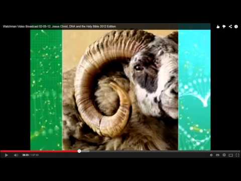 Jesus Christus, DNA, Fibonacci, Galaxien, Dein Körper u. die Heilige Schrift