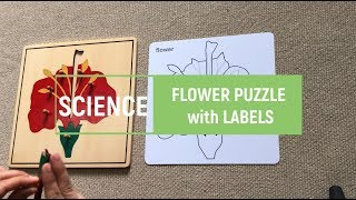 [VMI] Science - Flower Puzzle -Parts of the Flower - Montessori screenshot 5