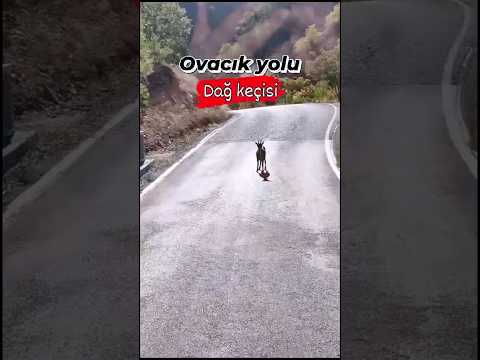 DERSİM✅TUNCELİ✅OVACIK✅ #shorts #shotrs