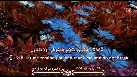 تلاوة من سورة البقرة | آيه. ١٥١ - ١٥٧| القارئ داوود نور الأركاني