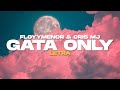 Floyymenor  cris mj  gata only letra