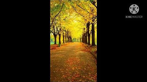 الرقية الشرعية بالأدعية النبوية#الشيخ ماجد الزامل