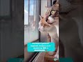 Студийные котятки хотят на волю 🙃 #юмор #работанадому