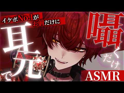 【ASMR】3秒で堕とす声。耳元で囁くだけ♡【3dio/囁き/睡眠導入】【ばぁう／騎士X】