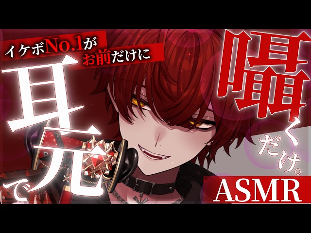 【ASMR】3秒で堕とす声。耳元で囁くだけ♡【3dio/囁き/睡眠導入】【ばぁう／騎士X】