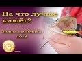 Безмотылка, блесна или балансир? Зимняя рыбалка на озере Соро // Диалоги о рыбалке