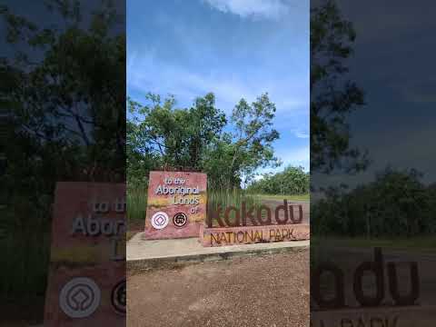 Video: Nuostabi kelionė į Kakadu nacionalinį parką