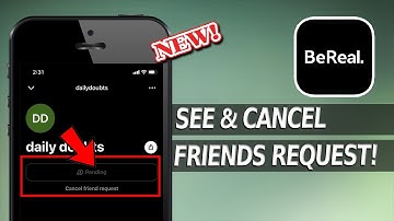 How to See/Cancel your Friend Request on BeReal App iPhone?