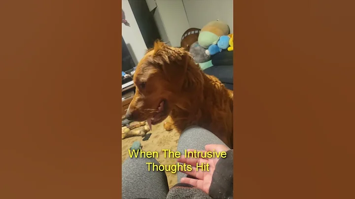 Having an Existential Crisis